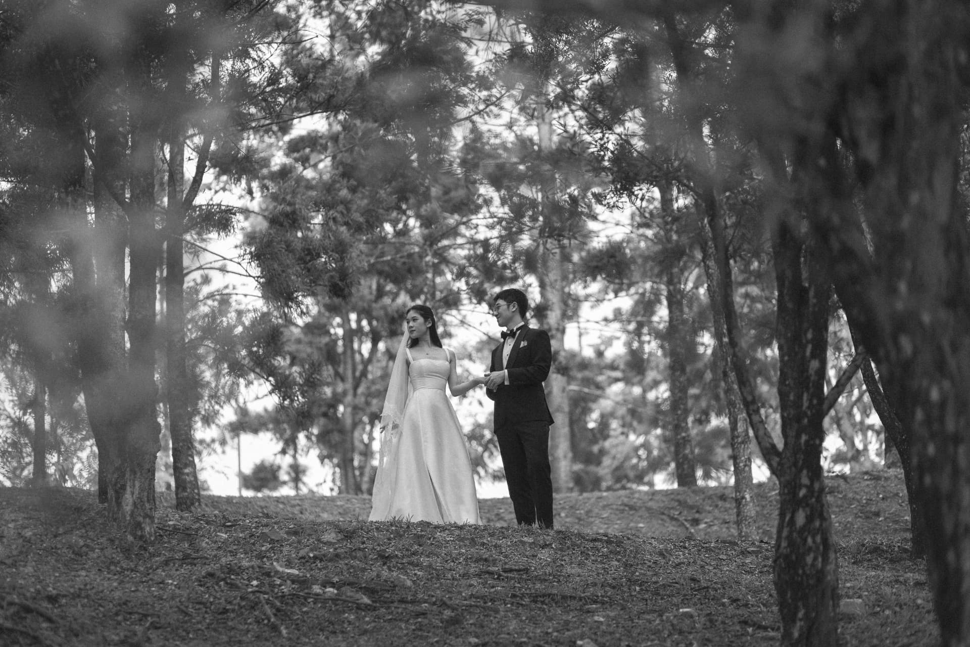 Wui Yan and Li Yen among the pine trees